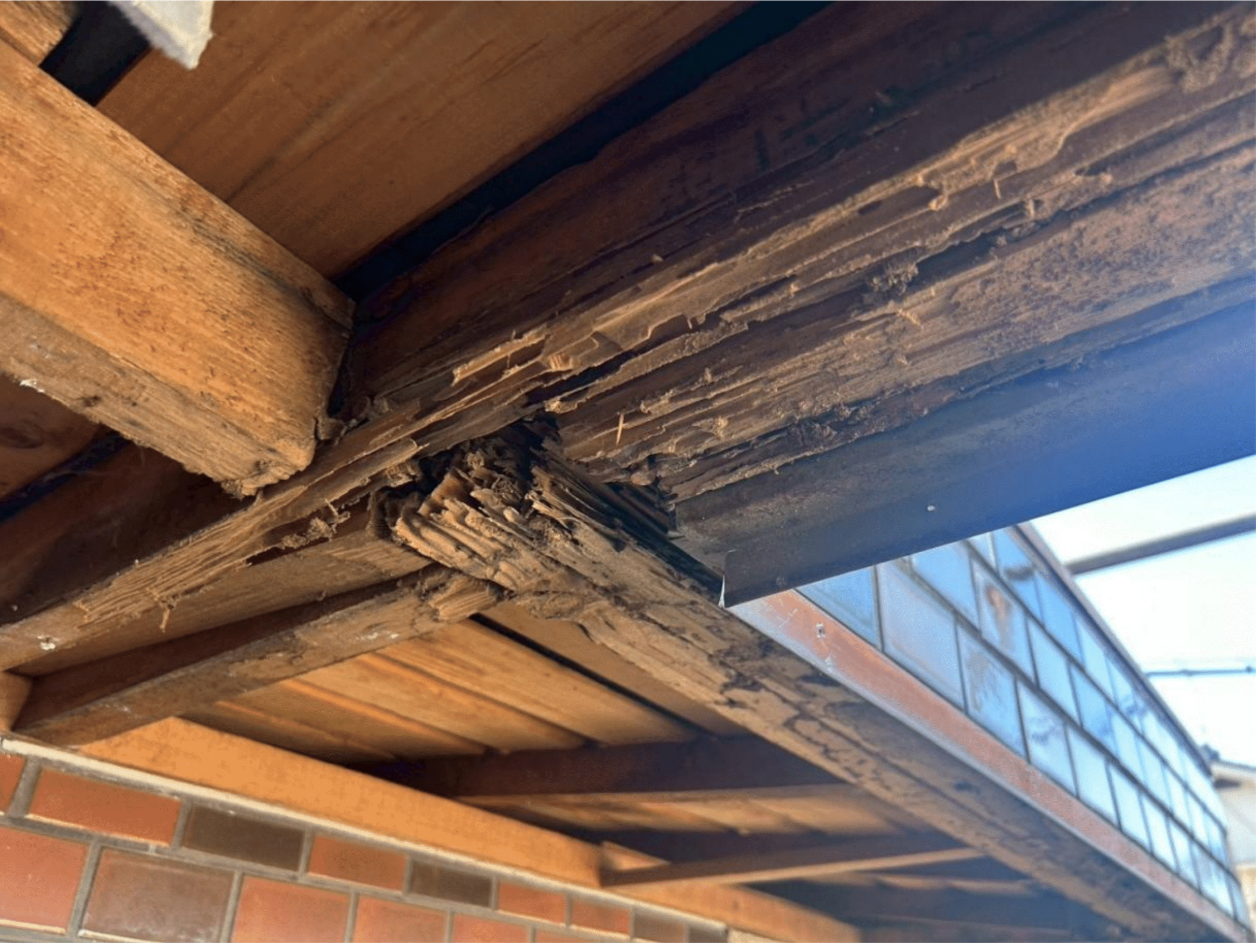 雨漏り不安を一掃！マイルーファーによる高耐久屋根防水と玄関庇の再生施工事例｜名古屋市千種区