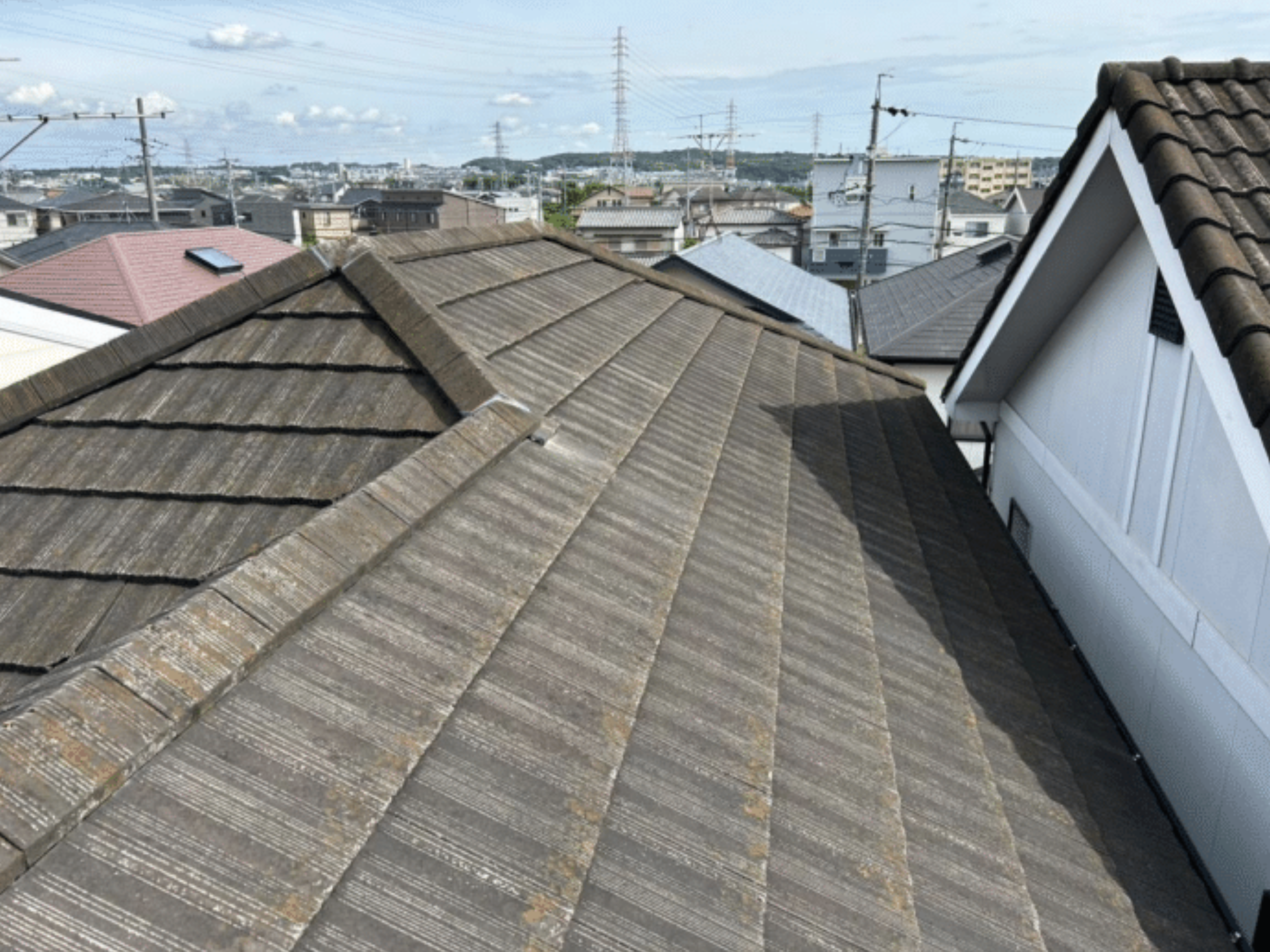 屋根全体