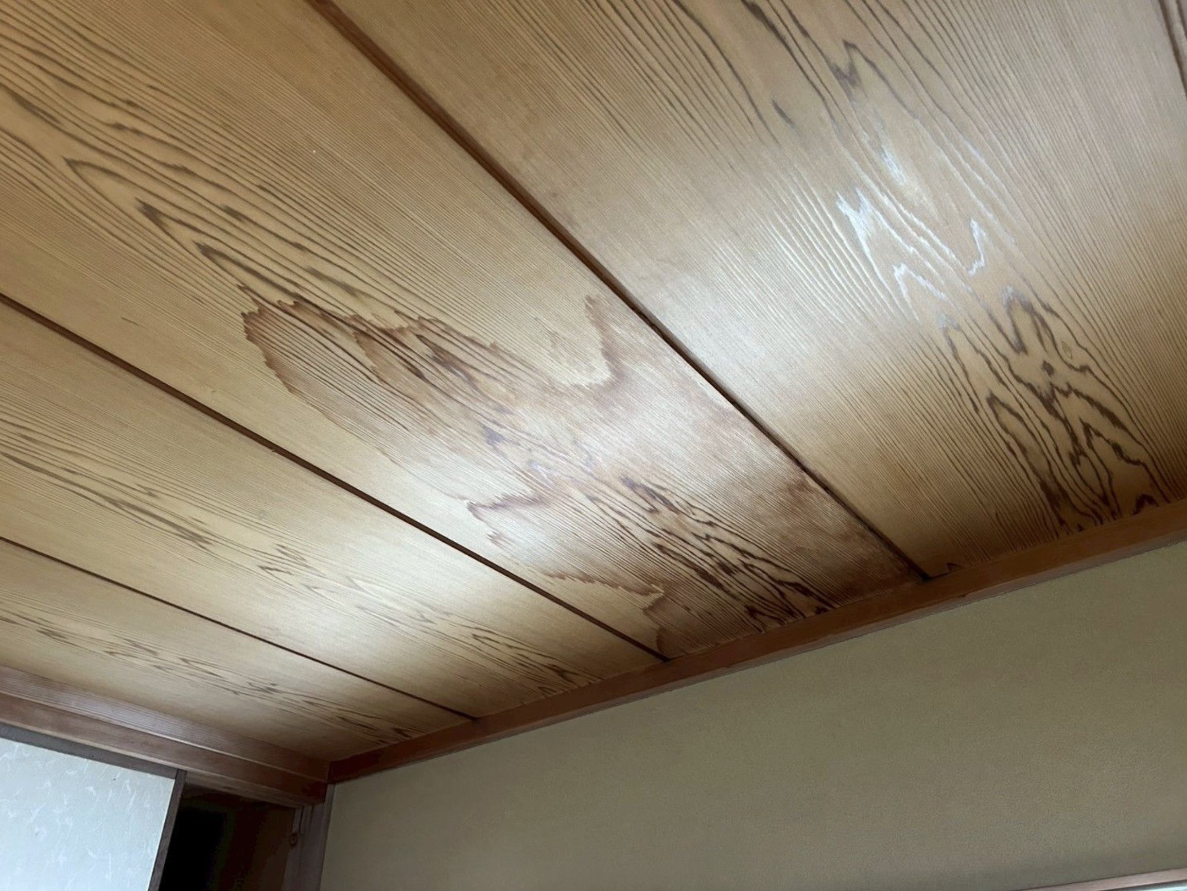 雨漏りの原因を徹底解説！場所別の症状と放置する危険性、対処法