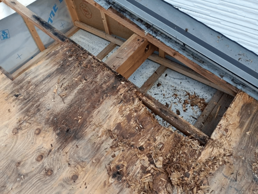 雨漏りの不安を解消！遮熱シート「シャネリア」＆外壁塗装で、快適・安心な住まいへ劇的リニューアル｜瀬戸市